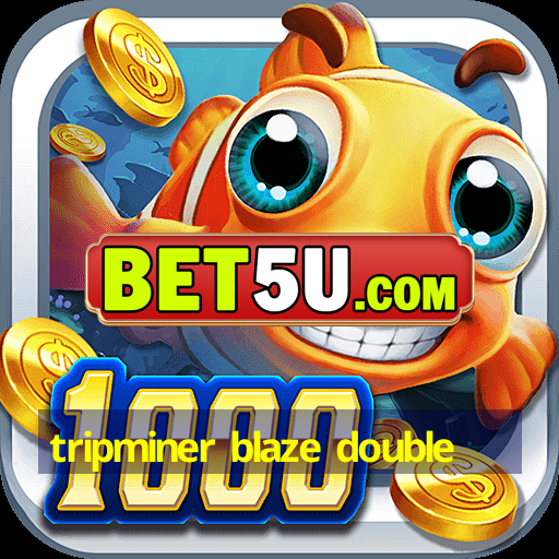 tripminer blaze double - vestibular